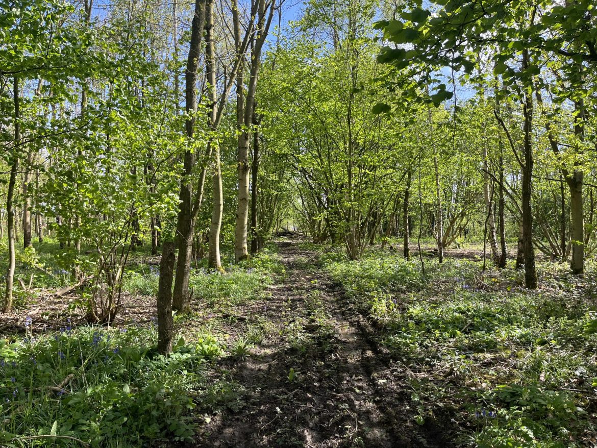 Finch Woods, Halewood