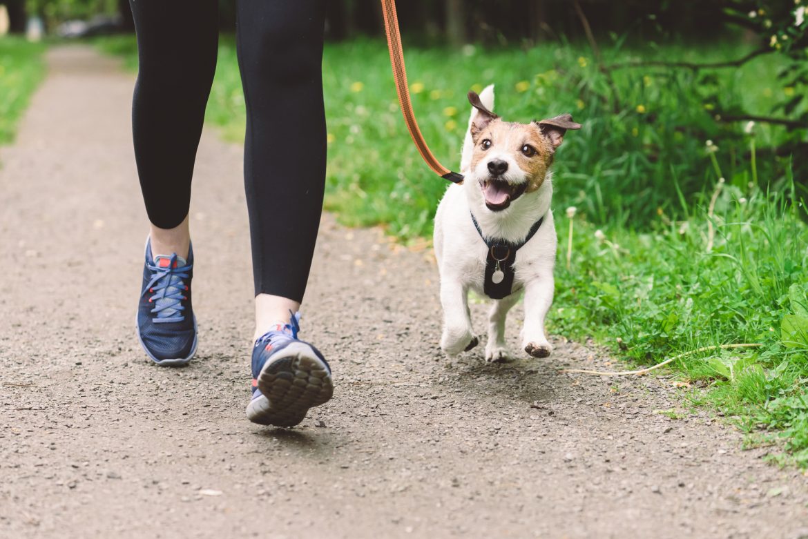 woman running with a dog