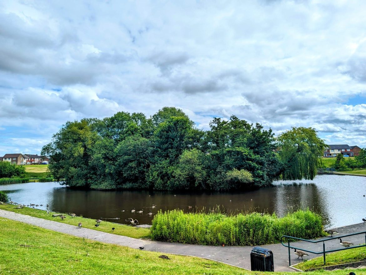 lake at park