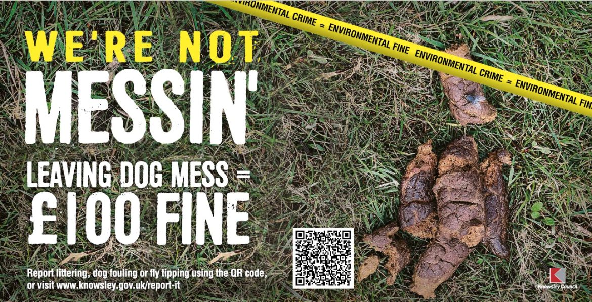dog foul on grass